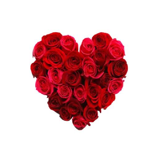 💖😍 WaStickerApps Love Stickers For WhatsApp 1.1