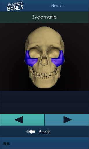 Dr. Girder's Bones screenshot 5