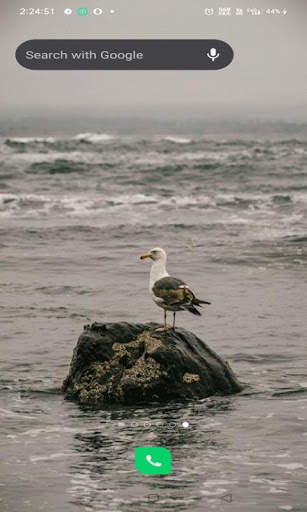 Alone Bird Live Wallpaper screenshot 3