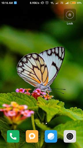 Butterfly wallpaper screenshot 5