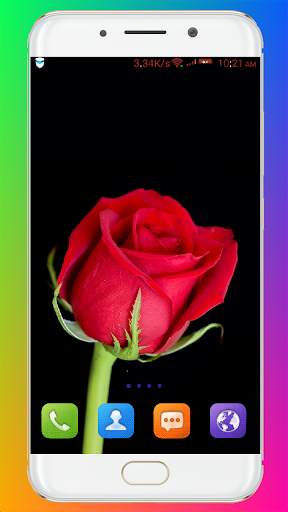 Red Rose Wallpaper screenshot 7