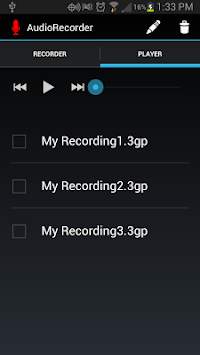 Audio Recorder screenshot 2