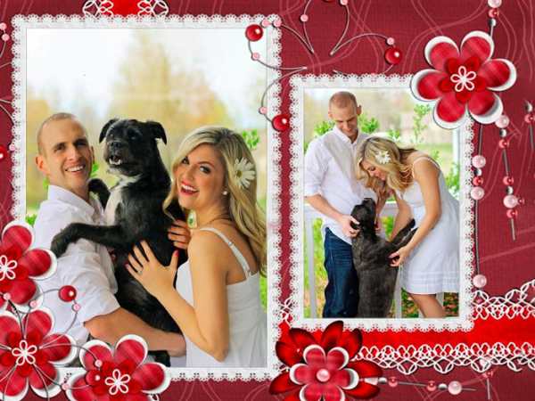 Love Romantic GIF Frames screenshot 4