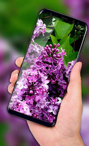 Lilac Live Wallpapers Free - HD Flower Wallpaper screenshot 1