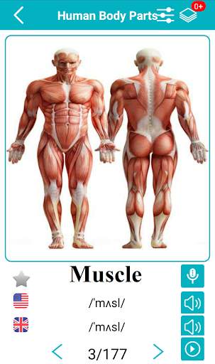 Body Parts Name and Pictures screenshot 1