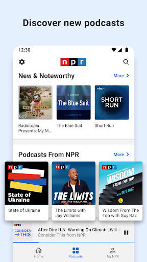 NPR screenshot 4