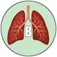 Biology Textbook Lite logo