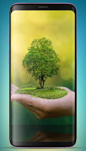 Bonsai Tree Wallpaper HD скриншот 6