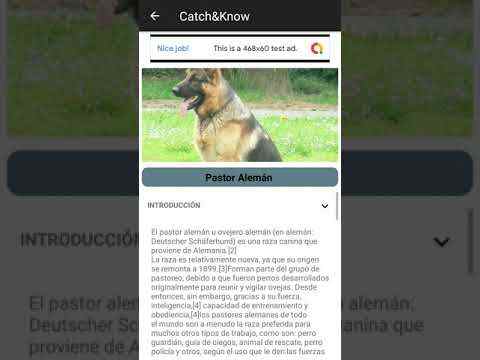 CatchIt Dog - Dog breeds scanner photo screenshot 2