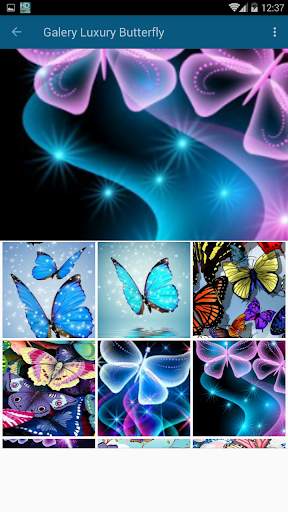 High Quality Butterfly Wallpaper screenshot 2