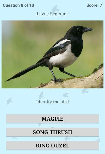 British Birds ID Quiz Pro screenshot 15