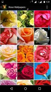 Rose Wallpaper HD screenshot 5