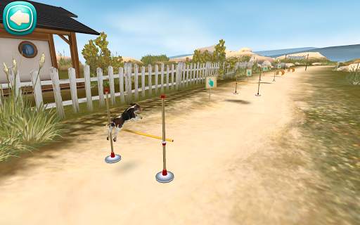 Dog Hotel – Play with dogs screenshot 8