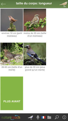 Vogelstimmen live erkennen - naturetouch स्क्रीनशॉट 5