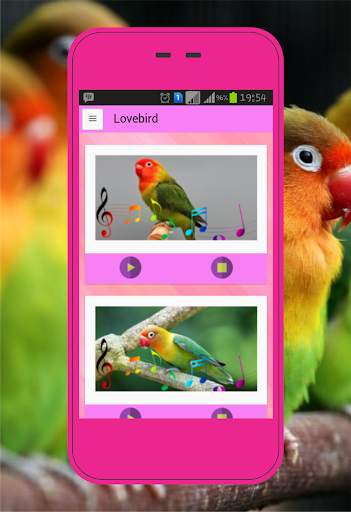 Lovebird screenshot 1