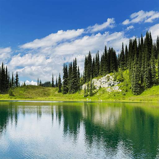 HD Jigsaw Puzzle Game - JigJig™ screenshot 5