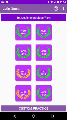Latin Nouns screenshot 1