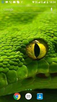 Snake Live Wallpaper screenshot 1