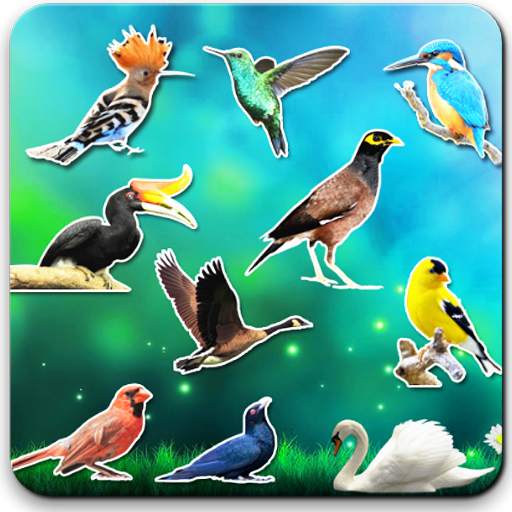 Bird sounds 1.1