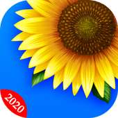 VFly Gallery - Photo & Video on 9Apps