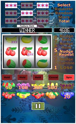 Slot Machine. Casino Slots. screenshot 8