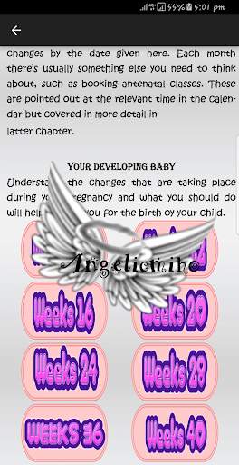 New Pregnancy and Birth screenshot 4
