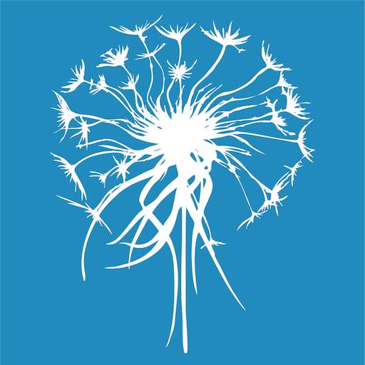 ACCESS CONSCIOUSNESS 2.1
