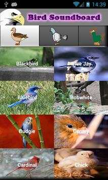 Bird Ringtones screenshot 1