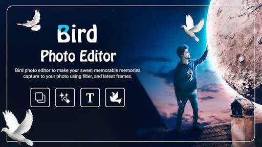Bird Photo Editor 2019 1 تصوير الشاشة