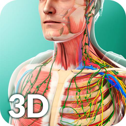 Human Anatomy 2.8