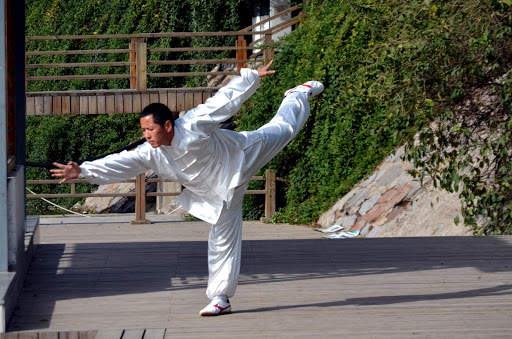 Learn Kung Fu Training 2020 6 تصوير الشاشة