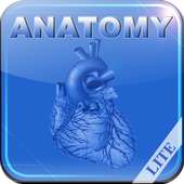 Human Anatomy II Lite logo