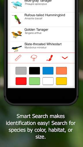 Birds of Ecuador screenshot 3