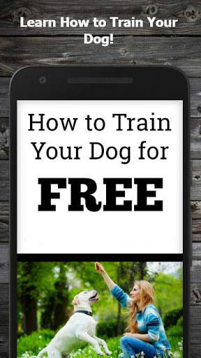 How to Train Your Dog (Guide) screenshot 1