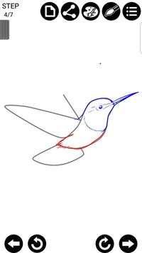 How To Draw Birds screenshot 5