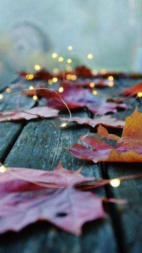Autumn Wallpaper screenshot 4