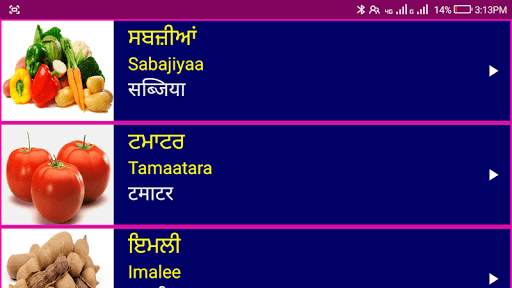 Learn Punjabi From Hindi 14 تصوير الشاشة