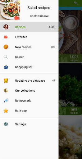Salad recipes screenshot 2