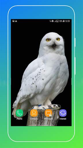 Bird Wallpaper screenshot 14