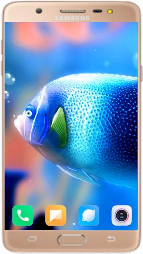Betta Fish Wallpaper screenshot 3