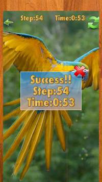 Bird puzzle game screenshot 4