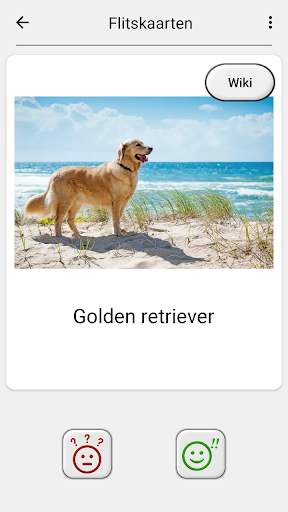 Honden: Foto-quiz over alle populaire hondenrassen screenshot 5
