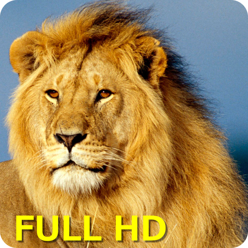 Animal Sounds icon