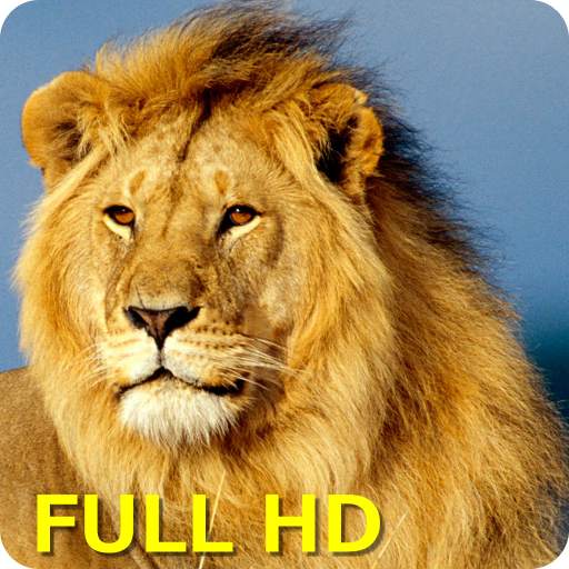 Animal Sounds 5.0