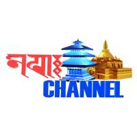 Nepa Channel