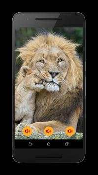 Animals world screenshot 6