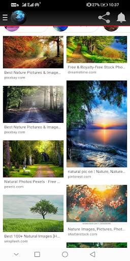 Private indi browser screenshot 2