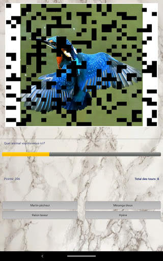 Photo Quiz screenshot 6