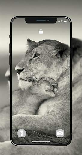 🐯 Lion Wallpapers - Angry 4K | HD Lion Pictures ❤ screenshot 6