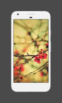Spring Wallpapers screenshot 3